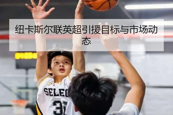 纽卡斯尔联英超引援目标与市场动态